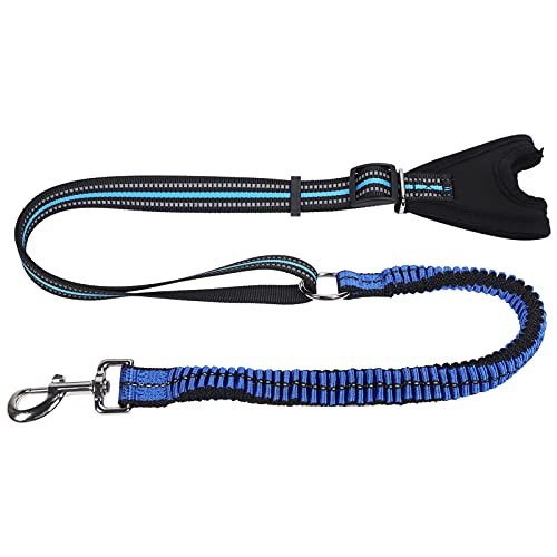 Qukaim Pet Supplies Reflektierender Haustier-Sicherheitsgurt Hund Walking Leash, Anti-Verlust-Reflektierendes Training Nylonband, Blau, für Haustierbedarf von Qukaim