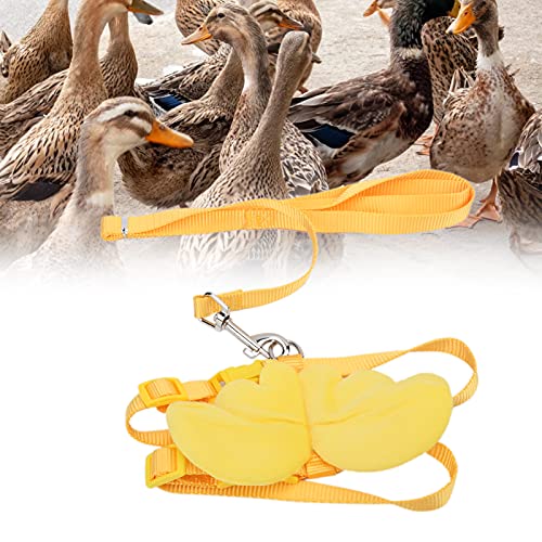Qukaim Poultry Supplies Zugseil für Enten, verstellbarer Brustgurt, Leine für Haustiere, Ente, Huhn, Gans, Gelb, M, Geflügelzubehör von Qukaim