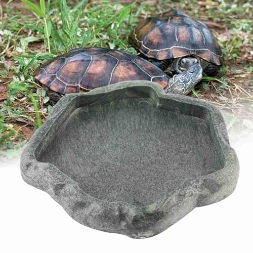 Qukaim Reptile Feeder Reptile Feeder Bowl Durable ABS Resin Lizard Food and Water Dish for Tortoise, GreenS von Qukaim