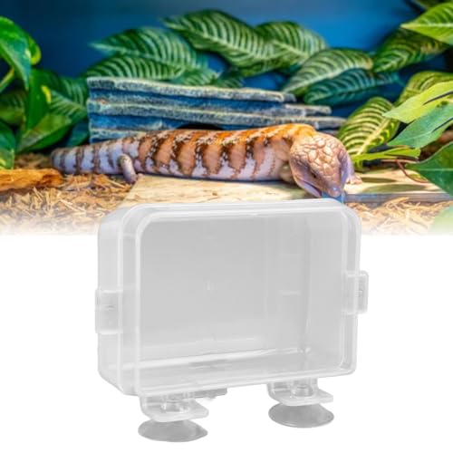 Qukaim Reptilien Futternapf Reptilien Feeder Cup mit Saugnapf für Eidechse Schlange Gecko Transparent Anti Escape Terrarium Reptile Feeder Reptilien Futternapf Reptilien Futternapf von Qukaim