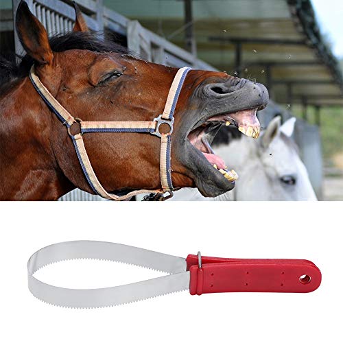 Qukaim Stainl Steel Shedder Scraper Tool, Single Shedding Blade Horse Grooming Accory with Non-Slip Handle, Heavy Duty Horse Groomer, 30.5 cm Long Qukaim Stainl Steel Shedder Scraper Tool, Single Shedding Blade Horse Grooming Accory with Non-Slip Handle, Heavy Duty Horse Groomer, 30.5 cm Long von Qukaim