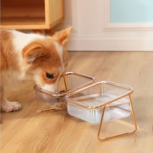 Qukaim Transparente Katzennäpfe Erhöhter Katzenfutter-Wassernapf, transparenter schräger Mund, erhöhter Futternapf für Katzen und Hunde, goldener Eisen-Doppelnapf, 30,5 x 14,4 x 11 cm von Qukaim