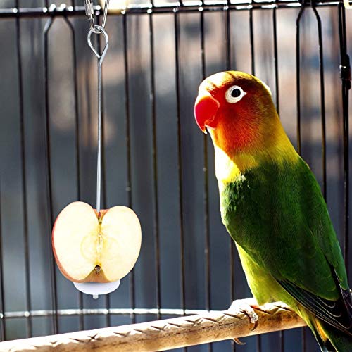 Qukaim Vogelkäfig-Futterstation aus Edelstahl, zum Aufhängen, Obst- und Gemüsehalter, Spießspielzeug für Papageien und Vögel, einfach zu bedienen, ideal für Vogelkäfige, 2 Stück von Qukaim