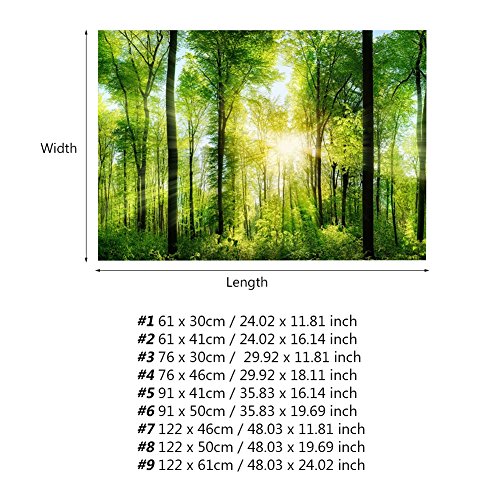 Qukaim Wald Poster 3D Effekt Klebe Wald Poster für Aquarium Fisch Tank Dekoration, 61x41cm, Realistischer Hintergrund für Wasserumgebungen von Qukaim