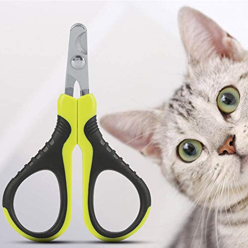 Qukaim Welpen-Nagelknipser Haustier-Nagelknipser, professionelle Krallenschere für Katze, Welpen, Kaninchen, Vogel, ergonomischer Griff, Edelstahlklingen, sicher und einfach zu bedienen von Qukaim