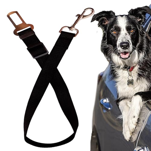 Qumiuu Haustier-Sicherheitsgurt fürs Auto,Hunde-Auto-Auto-Sicherheitsgurte,Sicherheitsgurt für Hunde im Auto | Einfach zu steuernder Fahrzeug-Sicherheitsgurt, Verstellbarer Gurt, von Qumiuu