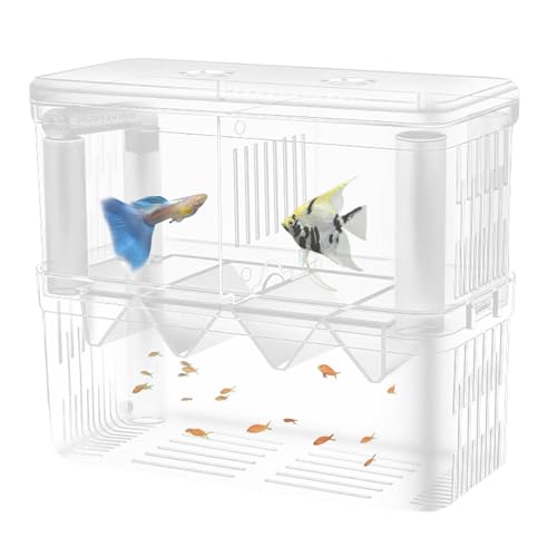 Qutalmi Aquarium-Zuchtbox, Fisch-Isolationsbox,Acryl-Brutkasten, doppelschichtiger Zuchttank | Transparente Brutbox mit Saugnäpfen für Guppys, Clownfische und kleine Fische von Qutalmi