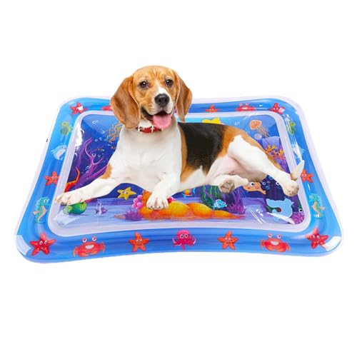 Qutalmi Wasserspielmatte Für Katzen, Sensor Water Playmat, Wassersensor Matte Für Kinder, Sommer Wasserspielmatte, Aquarium Themen Haustier-Spielmatte Für Sommerspiele von Qutalmi