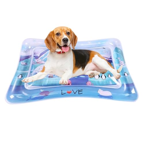 Qutalmi Wasserspielmatte Für Katzen, Sensor Water Playmat, Wassersensor Matte Für Kinder, Sommer Wasserspielmatte, Aquarium Themen Haustier-Spielmatte Für Sommerspiele von Qutalmi