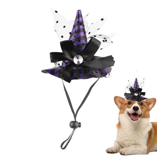 Quzente Hunde-Hexenhut, niedliches Halloween-Cosplay-Kostüm, Haustier-Katze, Halloween-Bekleidung, verstellbarer Kinnriemen, Cosplay-Zubehör für kleine Katzen und Hunde von Quzente