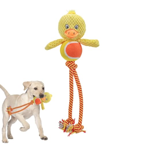 Qyljeiwred Quietschendes Plüsch-Hundespielzeug – integrierter Klang, Zahnspielzeug, Hundespielzeug, verschleißfestes, sicheres Quietschspielzeug, Plüschspielzeug für Haustiere, Hunde, Welpen von Qyljeiwred