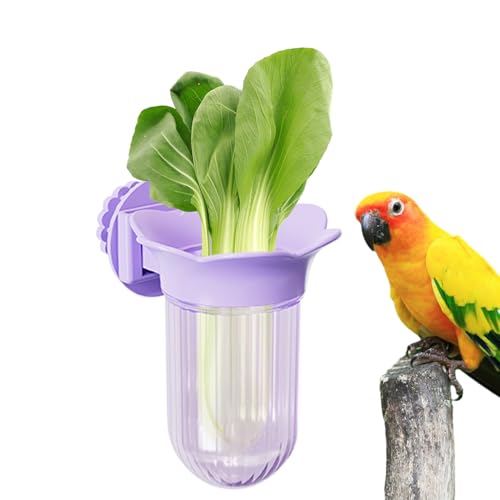 Qyljeiwred Vogelfutterschale - Vogelfutterbecher - Futterschale mit Klemme Futter Wasserbehälter für Kleintiere Wellensittiche Sittiche Finken Ara Conure Qyljeiwred Vogelfutterschale - Vogelfutterbecher - Futterschale mit Klemme Futter Wasserbehälter für Kleintiere Wellensittiche Sittiche Finken Ara Conure von Qyljeiwred
