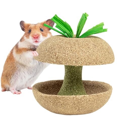 Fruit Design Hamster Chew Toys, Natural Chew Snack For Teeth Cleaning, Hamster Chew Treat For Squirrel, Chinchillas Hamster Chew Toys, Fruit Design Hamster Chew Snack For Cleaning Teeth, Natural Chew von Qzdtue