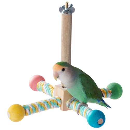 Parrot Rotating Bird Perch, Playing Sticks Rotating, Paw Grinding Stand Birds, 7,09 x 7,09 x 5,91 Zoll, Parakeet Übung Training Stange, Holz Climbing Zweige für Budgies von Qzdtue