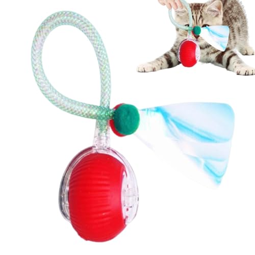 Qzdtue Electric Ball Dog Toy, Automatic Cat Toy, Rolling Ball Dog Toy, Cat Ball with Elastic Mesh Tail, Interactive Cat Toys, Dog Toy with Rolling Ball, Indoor Cat Ball Toy, Interactive Pet Ball, Cat von Qzdtue