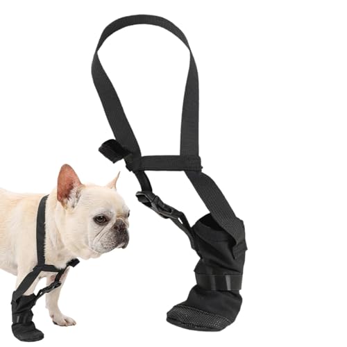 Qzdtue Hund Ellenbogenschutz | Hundebandage Ellenbogenpolster Hunde | Hundeellenbogen, Callus, Kegel Collar Alternative Brace, Hund Ellenbogen Dysplasie, Canine Ellenbogenpads, Schutzärmel Hund von Qzdtue