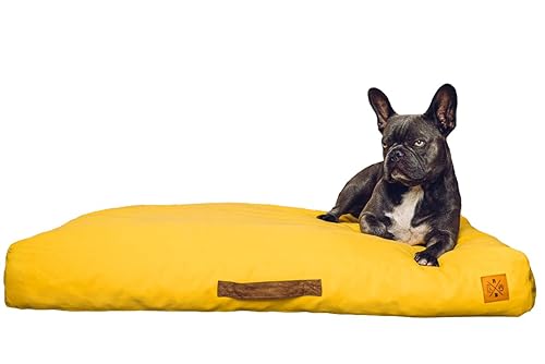 Roth & Bock - The German Pet Brand, Oeko-Tex Standard 100 zertifiziertes orthopädisches Soft Foam Hundebett, bezogen in hochwertigem wasserundurchlässigen Canvasstoff - gelb, S von R B ROTH & BOCK ····· THE GERMAN PET BRAND