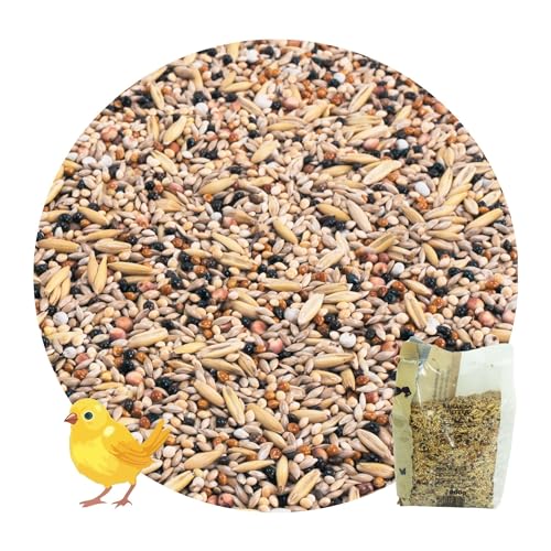 R&M Kanarien - Futter 0.8kg | ohne Rübsen, Komplettfutter für Kanarienvögel von R&M Futter und Lebensmittel GmbH