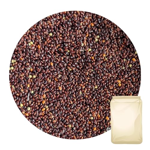 R&M Schwarze Hirse 0.8 kg | Saat Wellensittich Vogelfutter Kanarien Sorghum von R&M Futter und Lebensmittel GmbH