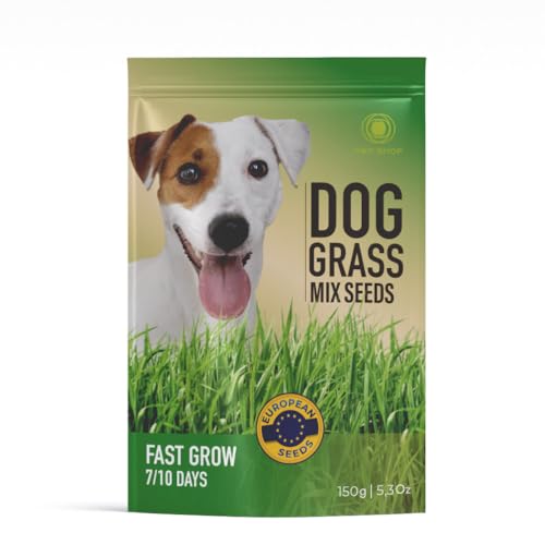 R&R SHOP – Grassamenmischung für Hunde, schnell wachsend für einen glücklichen Hund, hochwertige europäische Samen (150 g) von R&R SHOP