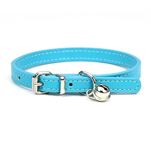 Lederleine Haustier Hundehalsband Sweet Cats Supplies Hundehalsbänder Rosa Hundehalsband Halsband Hundezubehör (Color : Blue, Size : 1.0cmx25cm) von RAAMKA