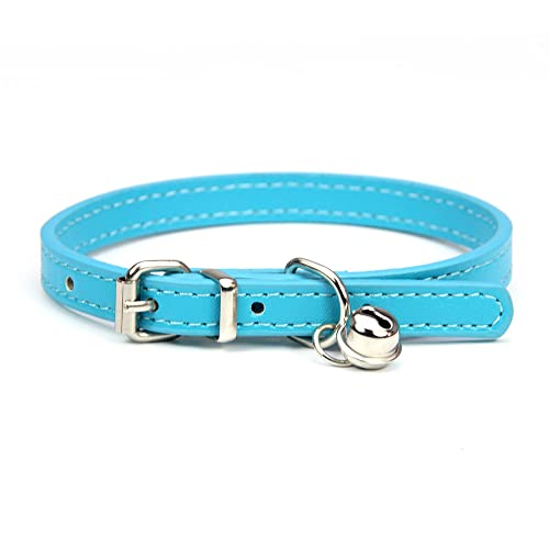 Lederleine Haustier Hundehalsband Sweet Cats Supplies Hundehalsbänder Rosa Hundehalsband Halsband Hundezubehör (Color : Blue, Size : 1.3cmx25cm) von RAAMKA
