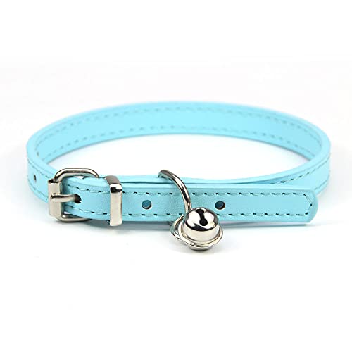 Lederleine Haustier Hundehalsband Sweet Cats Supplies Hundehalsbänder Rosa Hundehalsband Halsband Hundezubehör (Color : Sky Blue, Size : 1.3cmx30cm) von RAAMKA