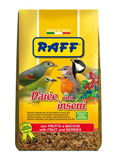 RAFF Pastete mit Insekten, 400 g, mit Früchten und Beeren für Vögel, Insektenfrüchte, feiner Schnabel von RAFF