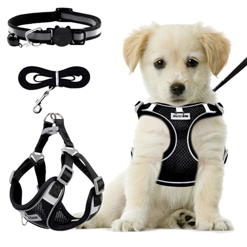 RAFIYU Hundegeschirr Medium Breathable Vest, Step-in Cat Puppy Harness and Lead Sets, Adjustable Reflective Anti Pull Dog Harness with Collars for Extra-Small/Small Medium Dogs Training or Walking (M) von RAFIYU