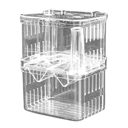 RAHYMA Aquarienzubehör Transparenter Doppelschicht-Fischaufzuchtbehälter Vielseitige Aquarium-Isolationsbox XL/63 (Size : L) von RAHYMA