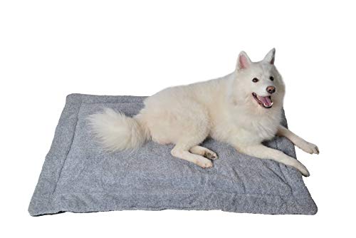 RAIKOU Hundedecke Katzendecke Haustier-Decke mit Plüsch Kissen Fleece-Decke/Tier Schlafdeck Hundebett Haustierbett, waschbar und rutschfest（Hellgrau Melange,80x60cm von RAIKOU