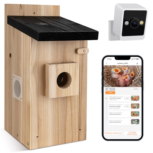 RAINBEAN Bird House with Camera, 4 Millionen Pixel Outdoor-Vogelhaus-Kamera, Echtzeitbeobachtung des Nestbaus und der Brut von Vögeln, AI-Erkennung des Vogelverhaltens, DIY von RAINBEAN