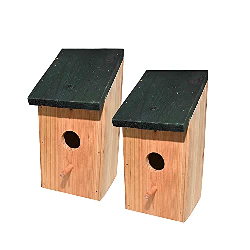 Ram© 2 X Holz Holz Vogel Nistkasten Nest Vogelhaus Kleine Vögel Blaumeise Rotkehlchen Spatz Vogelhaus Futterhaus von RAM ONLINE