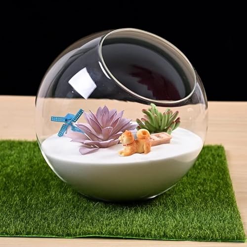 Mikro-Landschafts-Glasvase, Glas-Luftpflanzen-Terrarium, Sukkulenten-Terrarium-Behälter, Tischdekoration, Vase, Topf, Innendekoration für Sukkulenten von RANRAO