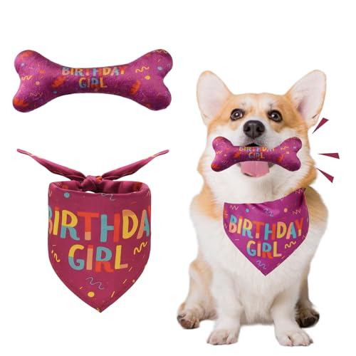 Hund Geburtstag Dreieck Lätzchen,Hund Geburtstag Bandana,Geburtstag Hundehalstuch,Geburtstag Knochenspielzeug mit Hund,Geeignet für kleine, mittlere und große weibliche Hunde und Katzen von RANYAKE