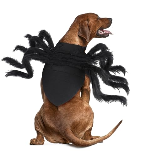 RANYPET Halloween Spinnenkostüm, Halloween Haustier Kostüm, Hundekostüm, Spinne Cosplay Haustier Kostüm für Katze Hund,Halloween Kostüm für Kleine mittelgroße Hunde und Katzen, Schwarz, Groß von RANYPET