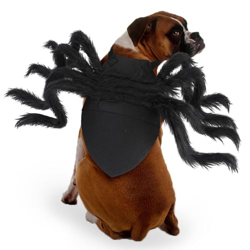 RANYPET Halloween Spinnenkostüm, Halloween Haustier Kostüm, Hundekostüm, Spinne Cosplay Haustier Kostüm für Katze Hund,Halloween Kostüm für Kleine mittelgroße Hunde und Katzen, Schwarz,Extra Groß von RANYPET