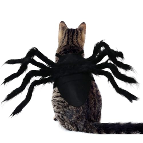 RANYPET Halloween Spinnenkostüm, Halloween Haustier Kostüm, Hundekostüm, Spinne Cosplay Haustier Kostüm für Katze Hund,Halloween Kostüm für Kleine mittelgroße Hunde und Katzen, Schwarz,klein von RANYPET