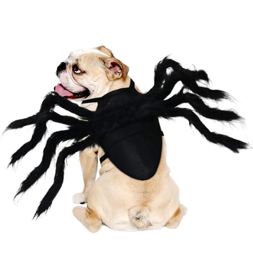 RANYPET Halloween Spinnenkostüm, Halloween Haustier Kostüm, Hundekostüm, Spinne Cosplay Haustier Kostüm für Katze Hund,Halloween Kostüm für Kleine mittelgroße Hunde und Katzen, Schwarz,mittel von RANYPET