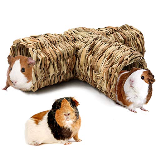 RANYPET Hamster-Gras-Tunnel-Spielzeug, natürliches Versteck Meerschweinchentunnel und Röhren, Spielzeug für Ratten, syrische Hamster, Frettchen, Meerschweinchen, Chinchilla-Igel von RANYPET