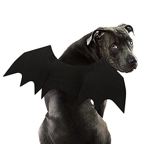 RANYPET Hund Fledermaus Kostüme Halloween Haustier Kostüm Fledermausflügel Cosplay Hundekostüm Katzenkostüm für Party von RANYPET