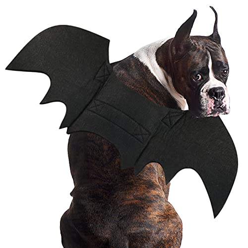 RANYPET Hunde Fledermaus Kostüm - Halloween Haustier Kostüm Fledermaus Flügel Cosplay Hund Kostüm Katze Kostüm für Party XL von RANYPET