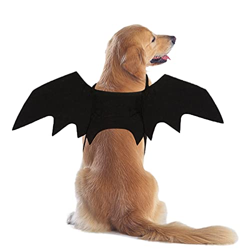 RANYPET Hunde-Fledermaus-Kostüm - Halloween-Kostüm für Haustiere, Fledermausflügel, Cosplay, Hundekostüm, Katzenkostüm für Party, M von RANYPET