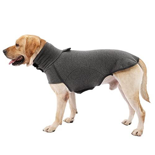 RARIDA Haustier Hund Hoodies Kleidung for kleine große Hunde Winter warmer Fleece Hund Hoodie Haustier Welpen Sweatshirt Kleidung Mops York Französische Bulldogge (Color : Grey, Size : 3XL) von RARIDA