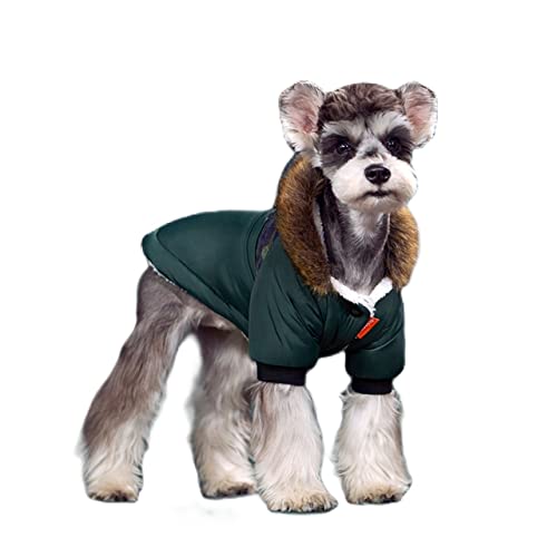 RARIDA Hunde Winterjacken mäntel Super warme Winterhundekleidung for kleine Hunde Wasserdichte Stoff Herbst Dicke Haustier Hoodies Chihuahua Welpen Kostüm Mantel for Mops von RARIDA