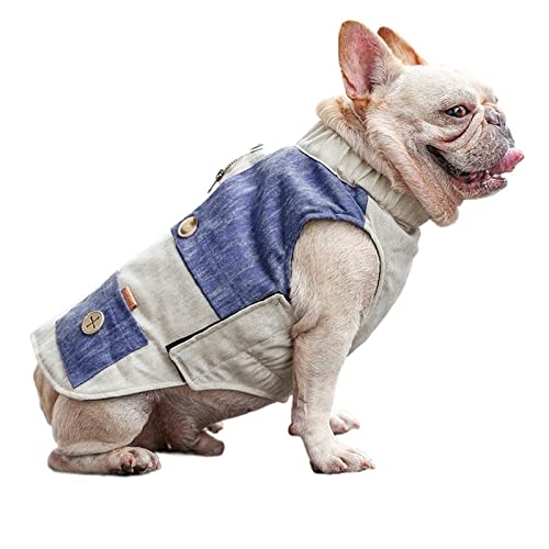 RARIDA Hundemantel Winter Warme Jacke, Haustierkleidung Hundejacke Outfit for Kleine Mittelgroße Hunde Herbst Und Winter Haustier Baumwolle Verpackung Winterhundekleidung (Color : Blau, Size : 3XL) von RARIDA