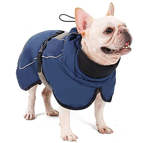 RARIDA Hundemantel wasserdichte Jacke Winter verdickter Welpenmantel warme Haustierkleidung Kostüm for kleine mittelgroße Hunde bei kaltem Wetter (Color : Blau, Size : L) von RARIDA