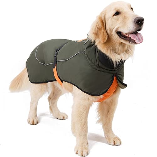 RARIDA Hundemantel wasserdichte Jacke Winter verdickter Welpenmantel warme Haustierkleidung Kostüm for kleine mittelgroße Hunde bei kaltem Wetter (Color : Green, Size : M) von RARIDA