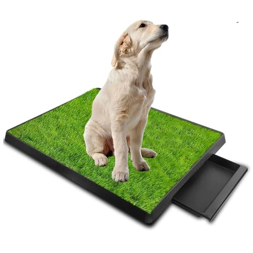 Hundetoilette Wohnung,Hundeklo,Hundeklo Für Zuhause,Töpfchentrainingsmatte Mit Urintrennwand,Mit Ausziehbarem Tablett,Leicht zu Reinigen,Ideale Indoor-Outdoor-Toilette für Hunde (64 x 51 cm) von RATSTONE