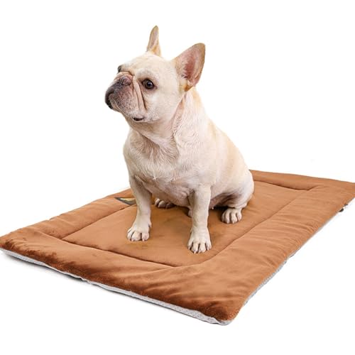 RC GearPro Waterproof Dog Bed Mattress - Washable car seat Blanket Cushion Winter Warmer Carpet pad Puppy cat Cages Crate mat for small medium Large Pets, Non-Slip Doggie Sofa Bed (Braun, M) von RC GearPro